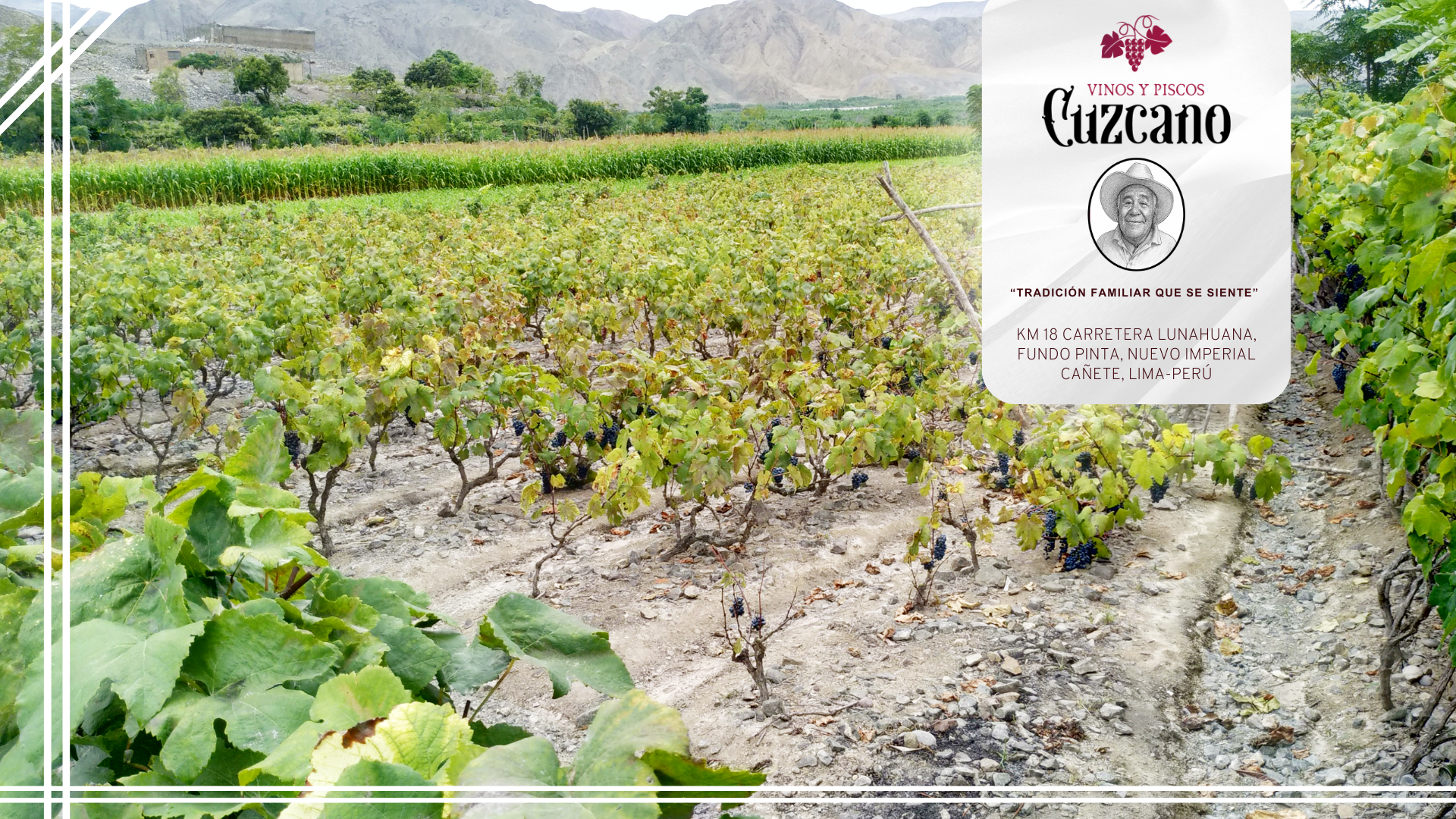 Portada Vinos Y Piscos Cuzcano